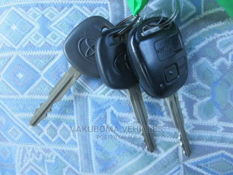 Toyota Land Cruiser Prado 2000 Silver