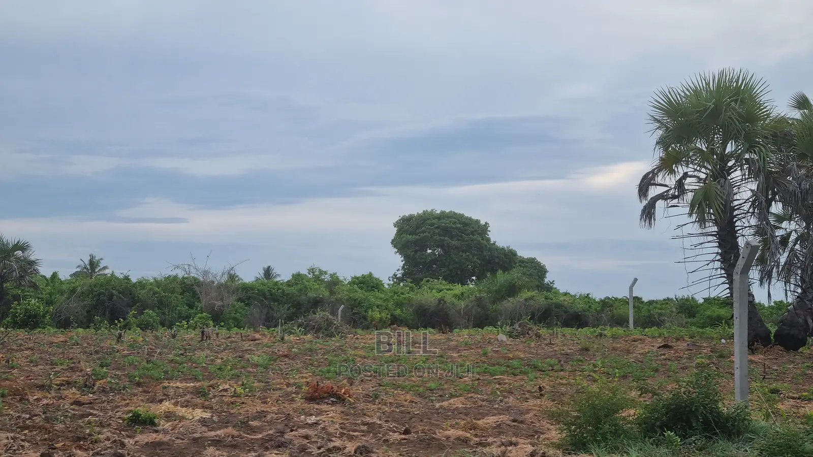 Plot for Sale Kigamboni Gezaulole Bamba Beach