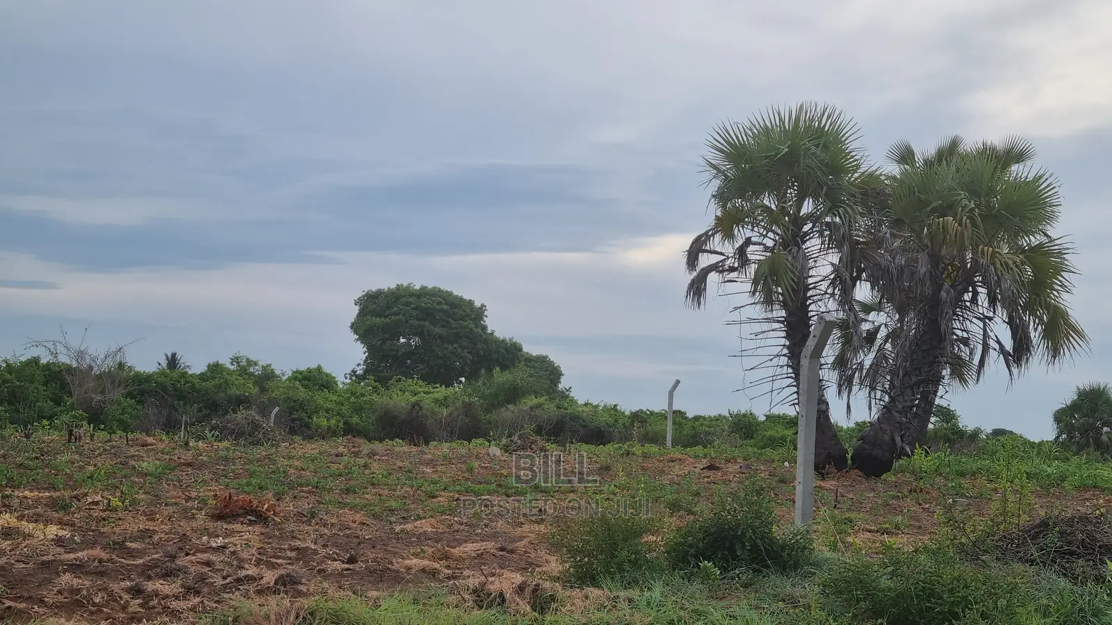 Plot for Sale Kigamboni Gezaulole Bamba Beach
