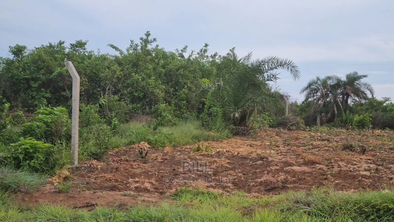 Plot for Sale Kigamboni Gezaulole Bamba Beach