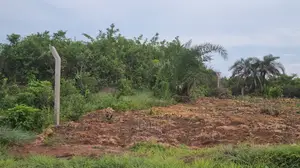 Plot for Sale Kigamboni Gezaulole Bamba Beach
