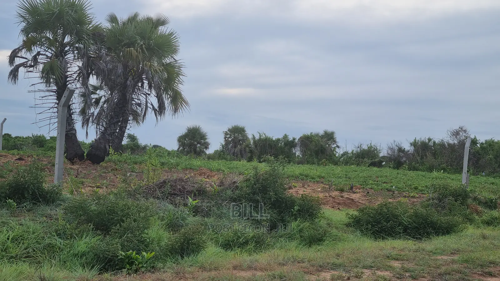 Plot for Sale Kigamboni Gezaulole Bamba Beach