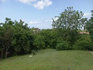 Eneo Linauzwa *MAKONGO JUU* Linaukubwa Wa 13400SQM