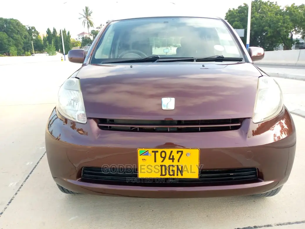 Toyota Passo 2006 Brown