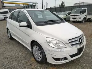 Mercedes-Benz B-Class 2010 Pearl