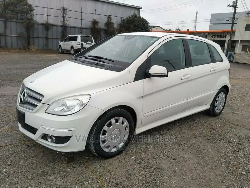 Mercedes-Benz B-Class 2010 Pearl