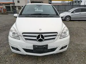 Mercedes-Benz B-Class 2010 Pearl