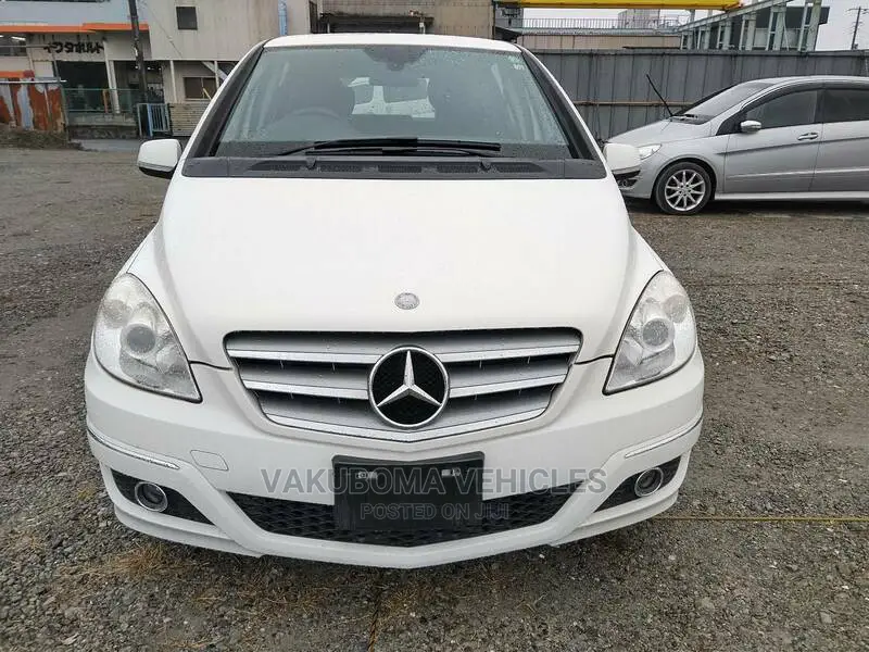 Mercedes-Benz B-Class 2010 Pearl