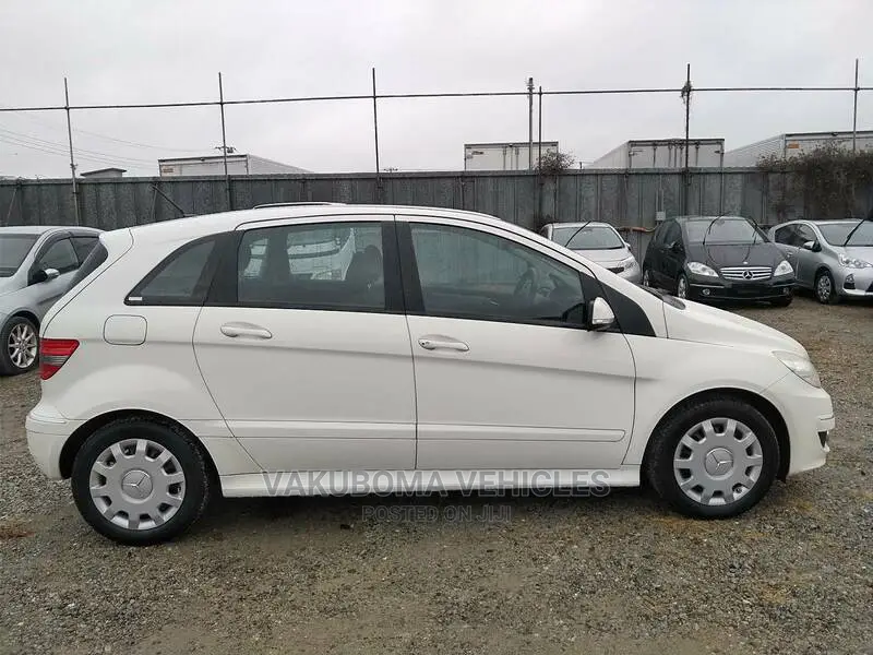 Mercedes-Benz B-Class 2010 Pearl