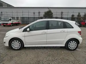Mercedes-Benz B-Class 2010 Pearl