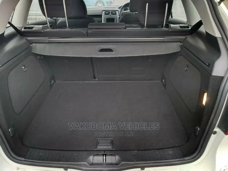 Mercedes-Benz B-Class 2010 Pearl