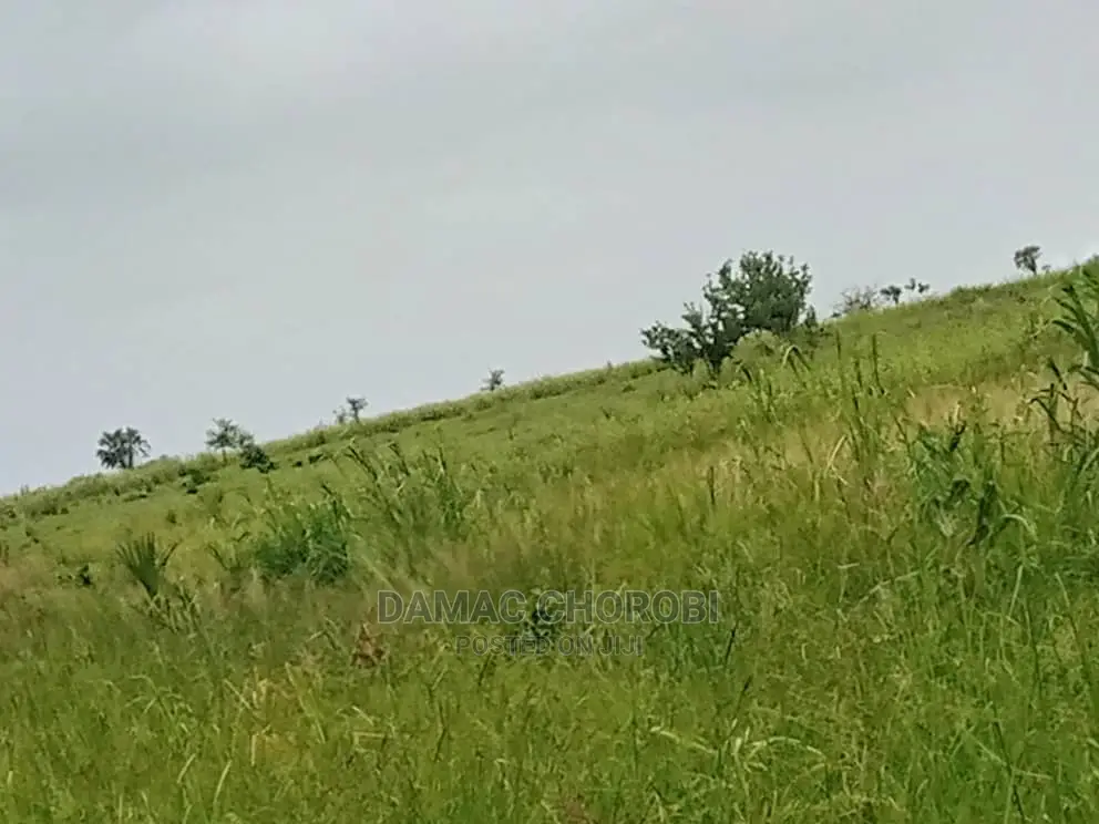 Mashamba Bora Kabisa Kwa Kilimo Cha Mahindi Ufuta Kuga Makaz