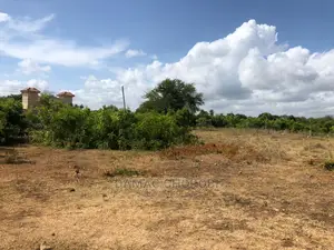Mashamba Bora Kabisa Kwa Kilimo Cha Mahindi Ufuta Kuga Makaz