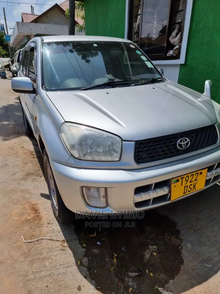 Toyota RAV4 2002 Silver
