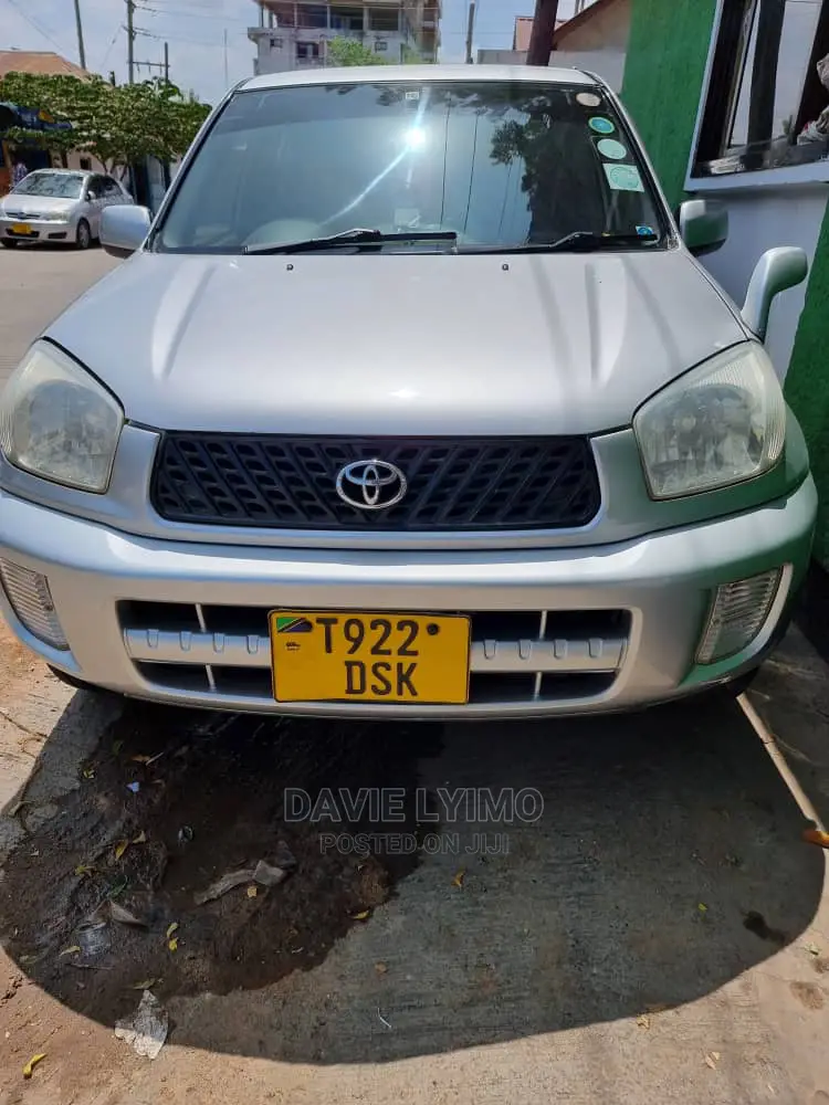 Toyota RAV4 2002 Silver