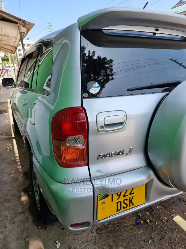 Toyota RAV4 2002 Silver