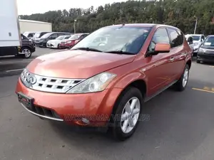 Nissan Murano 2007 Orange
