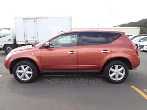 Nissan Murano 2007 Orange