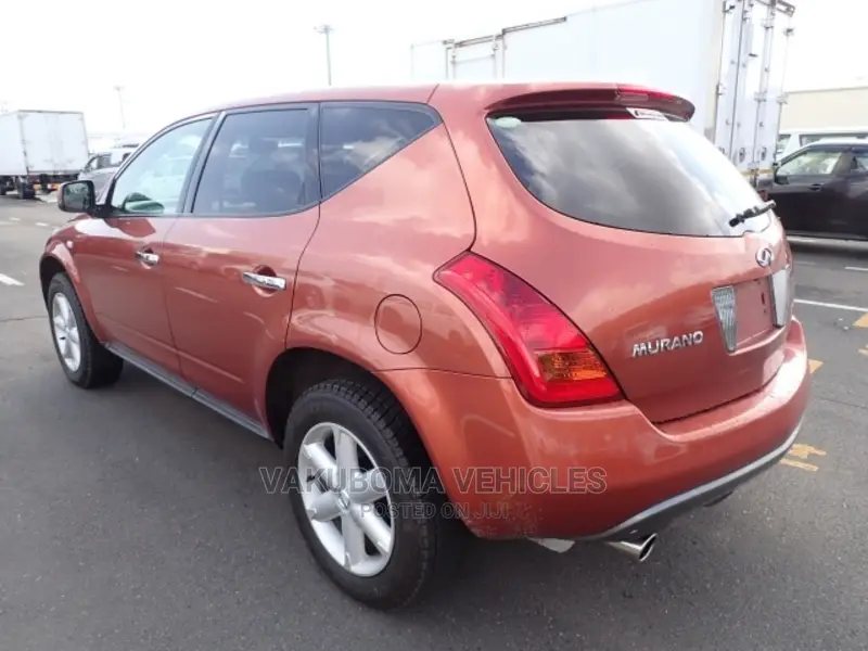 Nissan Murano 2007 Orange