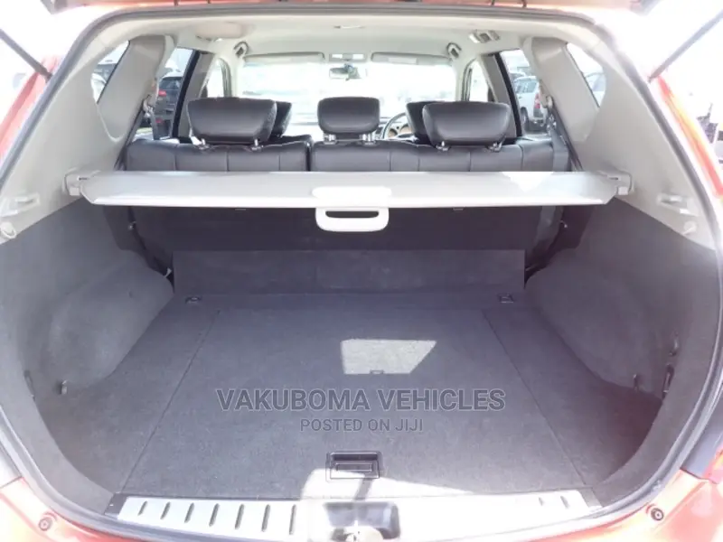 Nissan Murano 2007 Orange