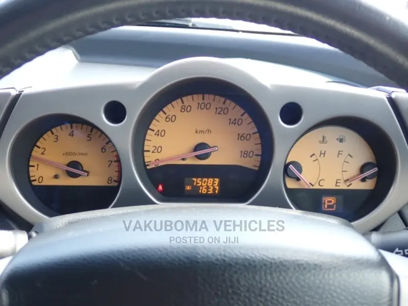 Nissan Murano 2007 Orange