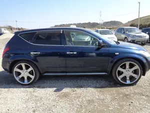 Nissan Murano 2007 Blue