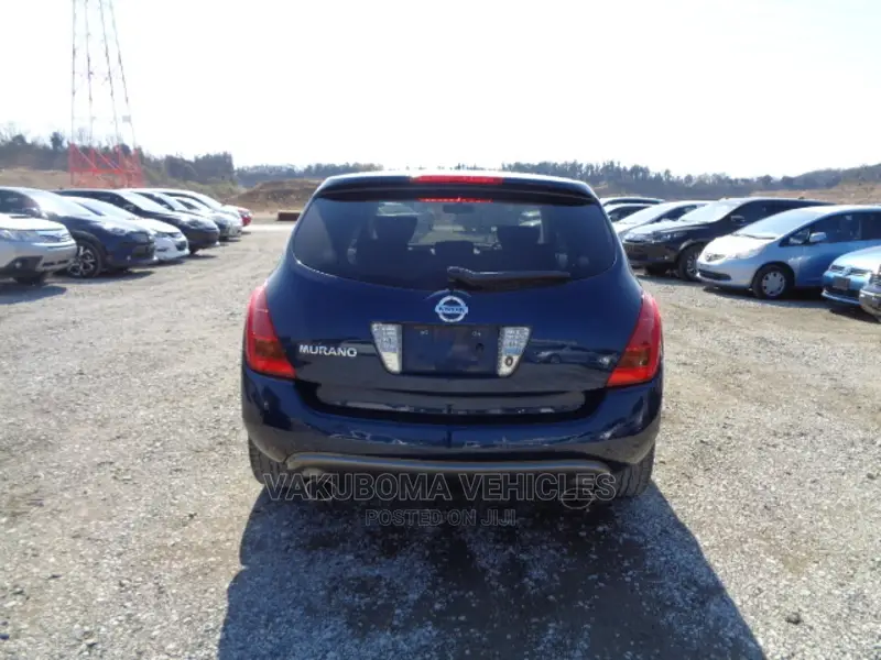 Nissan Murano 2007 Blue