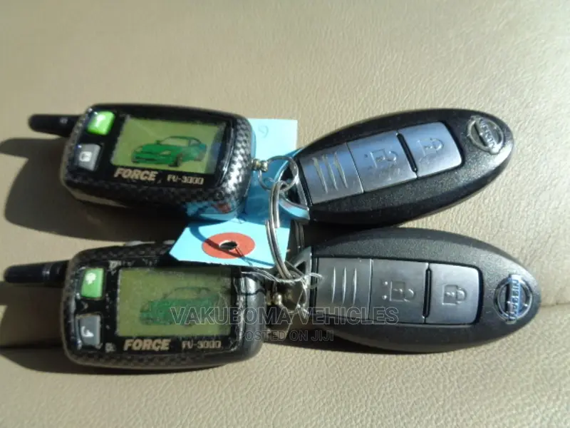 Nissan Murano 2007 Blue