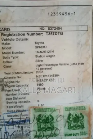 Toyota Corolla Spacio 2003 Gray