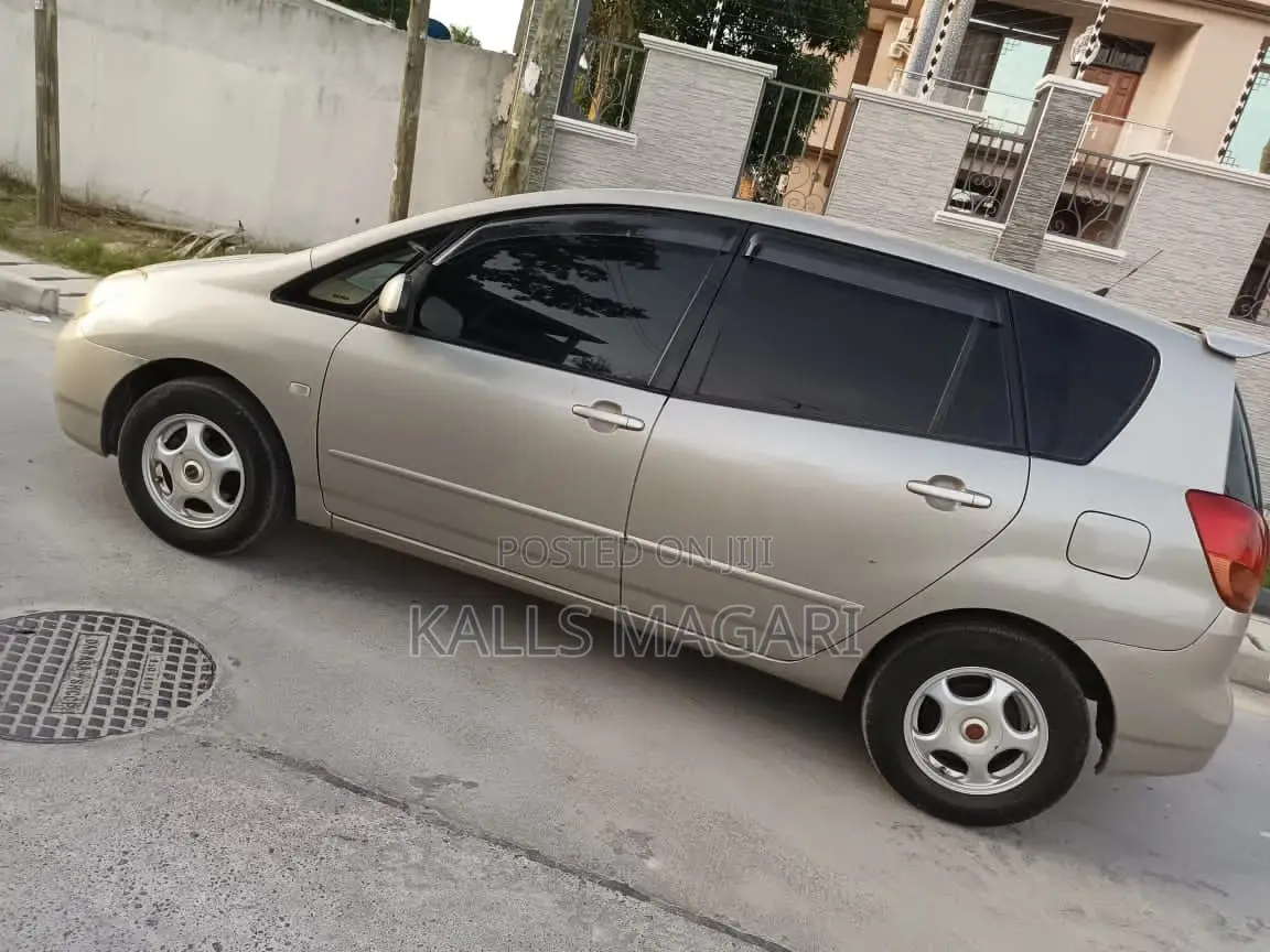 Toyota Corolla Spacio 2003 Gray