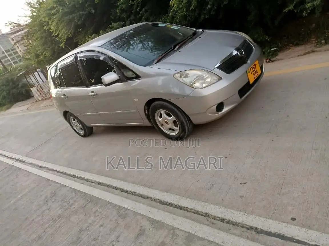 Toyota Corolla Spacio 2003 Gray
