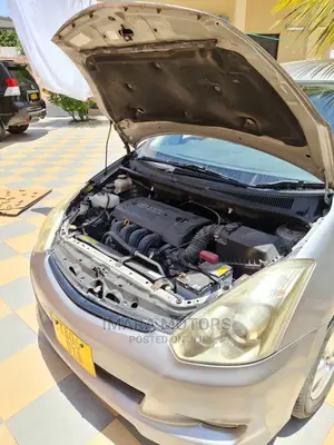 Toyota Wish 2007 Gray