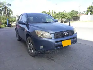 Toyota RAV4 2008 Gray