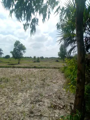 Acre 1000 Zinauzwa Morogoro