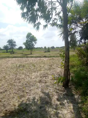 Acre 1000 Zinauzwa Morogoro