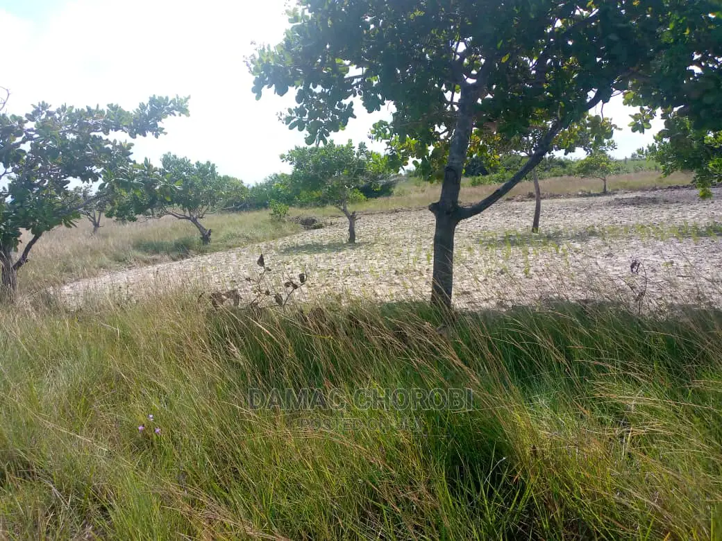 Acre 1000 Zinauzwa Morogoro