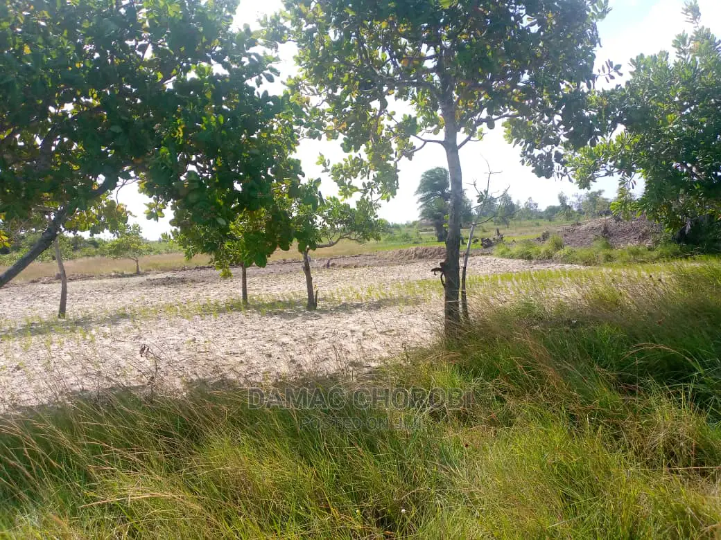 Acre 1000 Zinauzwa Morogoro