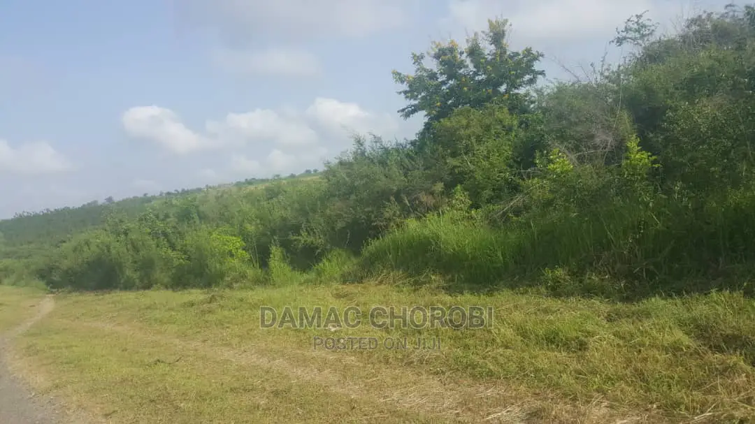 Acre 1200 Tanga Zinauzwa