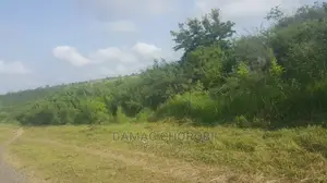 Acre 1200 Tanga Zinauzwa