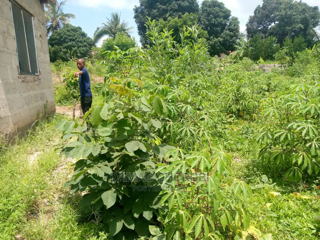 Mashamba 2 Ukubwa Acre 1000 Na Acre 2000 Yanauzwa