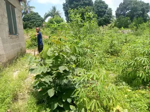 Mashamba 2 Ukubwa Acre 1000 Na Acre 2000 Yanauzwa