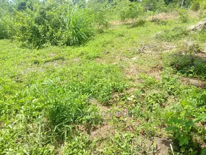 Mashamba 2 Ukubwa Acre 1000 Na Acre 2000 Yanauzwa