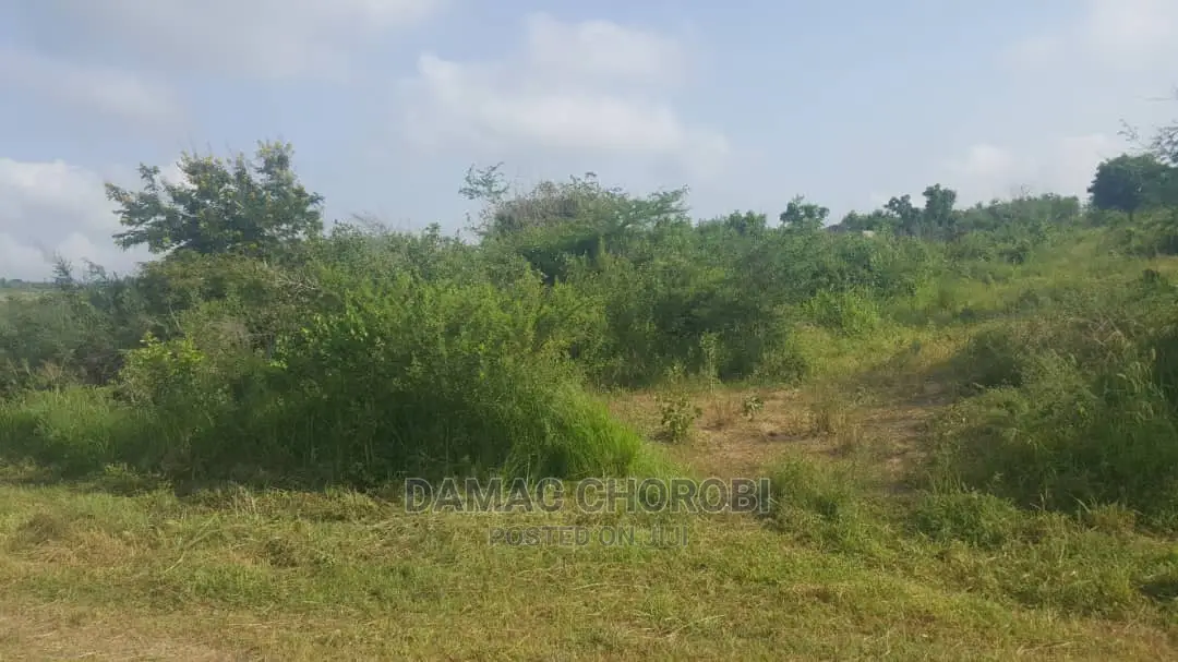 Shamba Acre 2500 Mikese Morogoro Linauzwa in Morogoro Urban Land