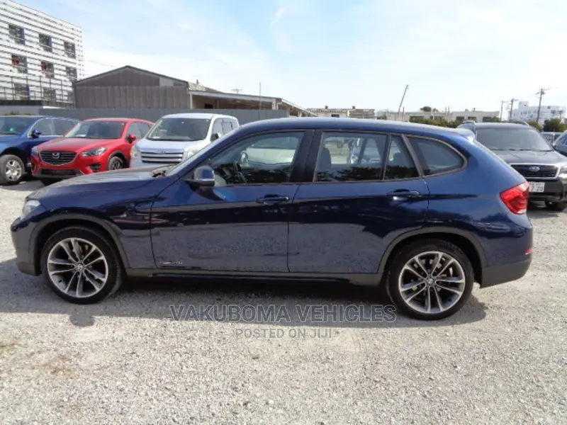 BMW X1 2012 Blue