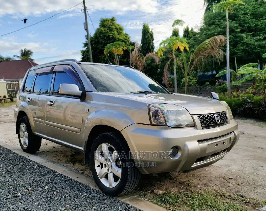 Nissan X-Trail 2005 Silver