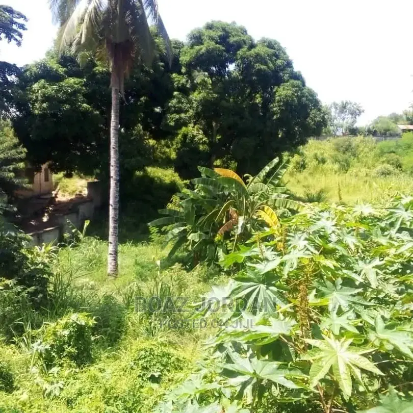 10bdrm Apartment in Graphite, Mbezi for Sale