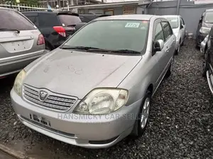 Toyota Allex 2003 Silver