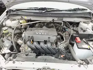 Toyota Allex 2003 Silver