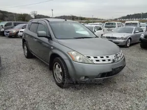 Nissan Murano 2007 Gray