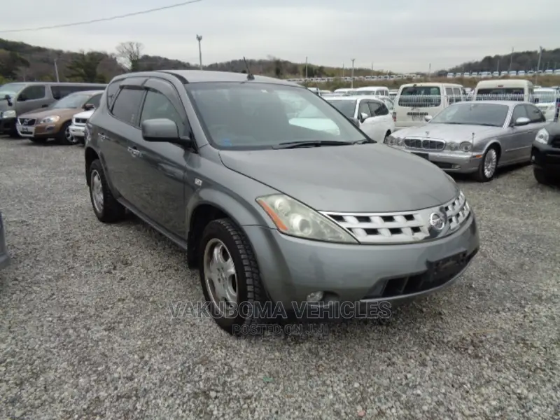 Nissan Murano 2007 Gray